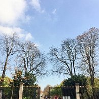 IMG_2714